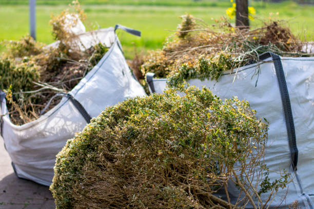 Best Hoarding Cleanup  in Brimfield, OH